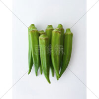 栄養素が豊富なオクラの写真素材(4)