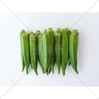 栄養素が豊富なオクラの写真素材(5)