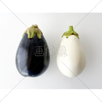 見た目が可愛い白ナスと米ナスの写真素材