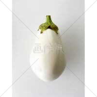 珍しい種類の白ナスの写真素材