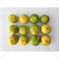 秋に旬をむかえる極早生みかんの写真素材(1)