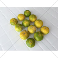 秋に旬をむかえる極早生みかんの写真素材(2)