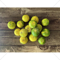 秋に旬をむかえる極早生みかんの写真素材(3)