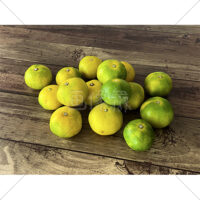 秋に旬をむかえる極早生みかんの写真素材(4)