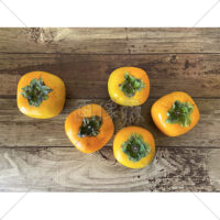 甘くてジューシーな種なし柿の写真素材(1)