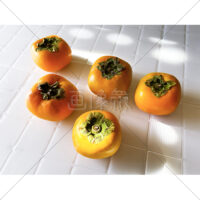 甘くてジューシーな種なし柿の写真素材(3)