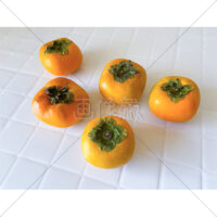 甘くてジューシーな種なし柿の写真素材(5)