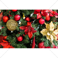 スタンダードなクリスマスツリーの写真素材