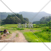 田舎のあぜ道の写真