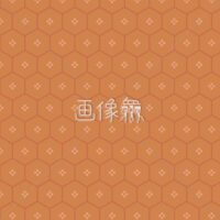 オレンジの六角形パターンタイル模様