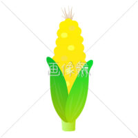 つぶつぶしたとうもろこしのイラスト素材