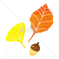 落ち葉とドングリのイラスト素材