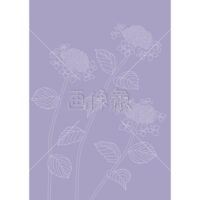 あじさいの(9)イラスト