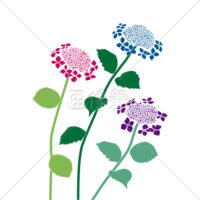 あじさいの(1)イラスト