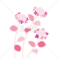 あじさいの(2)イラスト