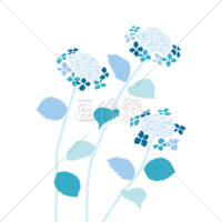 あじさいの(3)イラスト