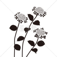 あじさいの(5)イラスト