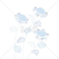 あじさいの(10)イラスト