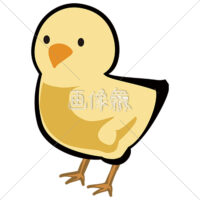 アメリカンコミック調のひよこのイラスト素材