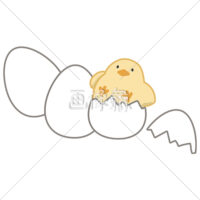 生まれたばかりのひよこのイラスト素材