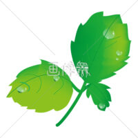 ミントの無料イラスト・アイコン素材(1)