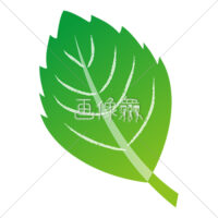 ミントの無料イラスト・アイコン素材(3)