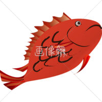 鯛のイラスト素材(1)