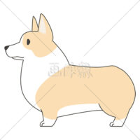 犬(コーギー)のイラスト素材(2)
