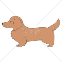 犬(ダックスフンド)のイラスト素材(1)