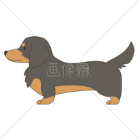 犬(ダックスフンド)のイラスト素材(2)