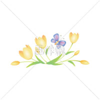 チューリップとちょうちょの無料イラスト素材