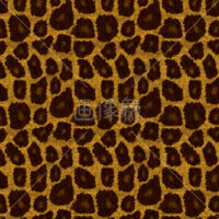 キリン柄のパターンタイル模様