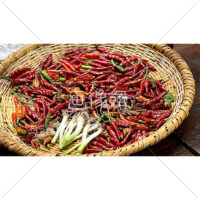 唐辛子などの薬味の写真素材