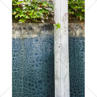 お洒落な白木とアイビーの外壁・テクスチャ・背景素材の写真素材