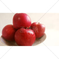 たくさんの真っ赤なりんごの写真素材