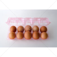 パックに入った10個入りの卵・たまご・eggの写真素材（1）