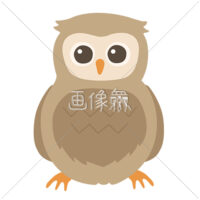 丸い目をしたフクロウのイラスト素材