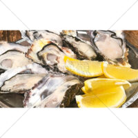 ぷりぷりの牡蠣とレモンの写真素材