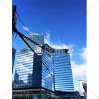 都会のビルと信号と青空の写真素材