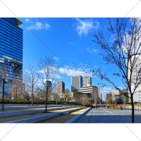 冬の街路樹と都会のビルと青空の写真素材（2）