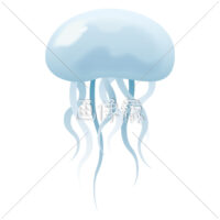綺麗なクラゲのイラスト素材